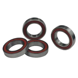 Endurance Bearings
