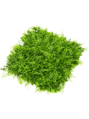 Fern Juniperus Artificial Plant Premium Faux cm Height