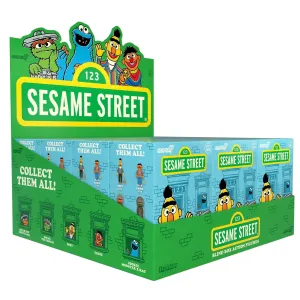 Sesame Street Sealed Case Wave 01 Blind Box Series by Super7